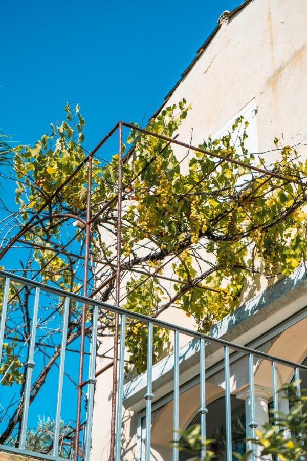 Le Mas Des Amandiers Saint-Paul-de-Vence Eksteriør billede