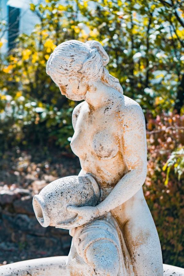 Le Mas Des Amandiers Saint-Paul-de-Vence Eksteriør billede